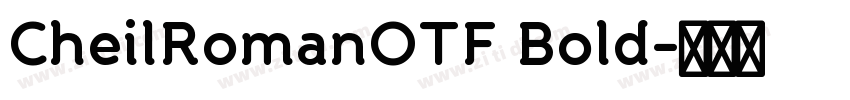 CheilRomanOTF Bold字体转换 CheilRomanOTF Bold字体转换